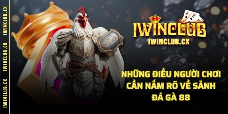 Những điều người chơi cần nắm rõ về sảnh đá gà 88