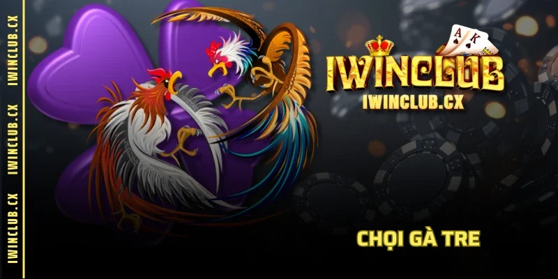 Chọi gà tre