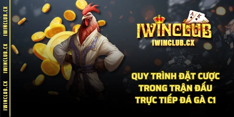 Quy trình đặt cược trong trận đấu trực tiếp đá gà C1